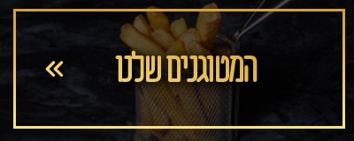 מטוגנים
